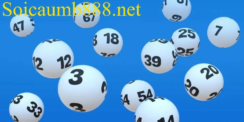 Lý do nhiều người lựa chọn nuôi lô khung 2 ngày