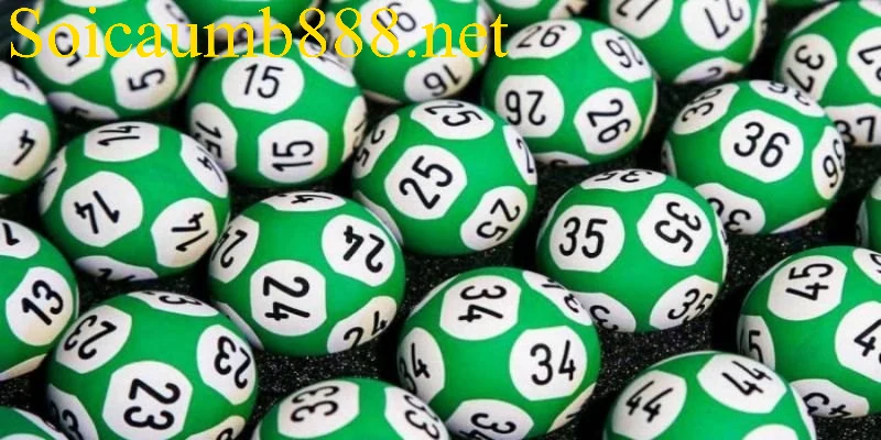 Khái niệm cơ bản của nuôi lô khung 3 ngày