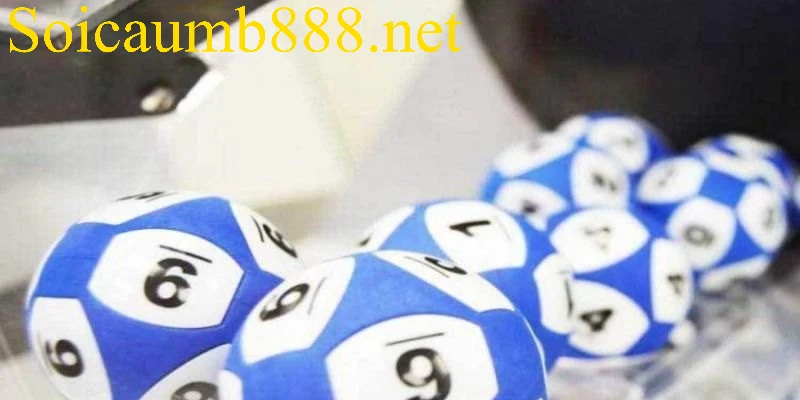 Tầm quan trọng của bí kíp nuôi lô khung 5 ngày