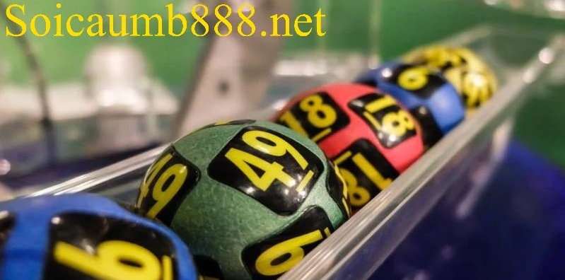 Đánh giá xu hướng nuôi đề khung 247 hiện nay