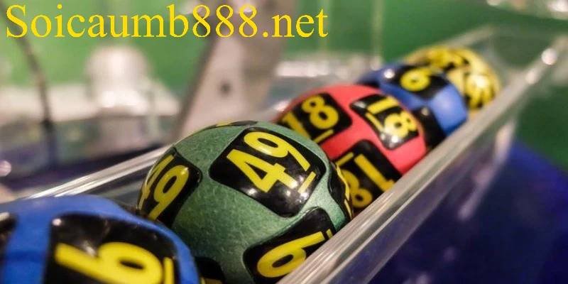 Lý do nên theo dõi phân tích hôm nay đánh con gì