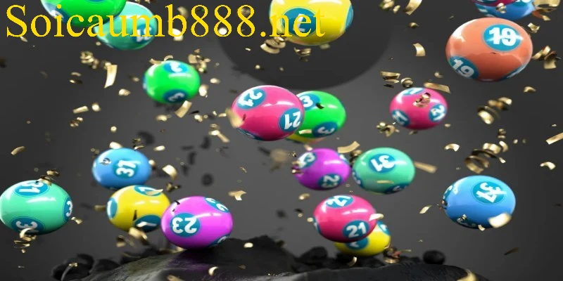 Lô 3 càng là gì?