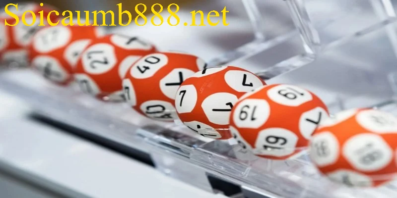 Lô Đầu 1 Câm Hôm Sau Đánh Con Gì Giúp Đón Sóng Chuẩn?