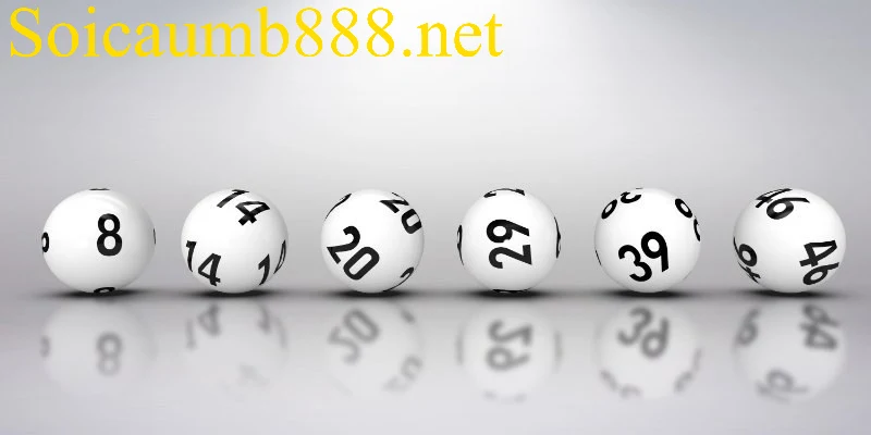 Lô Đầu 5 Câm Hôm Sau Đánh Con Gì Để Bắt Đúng Nhịp Cầu?