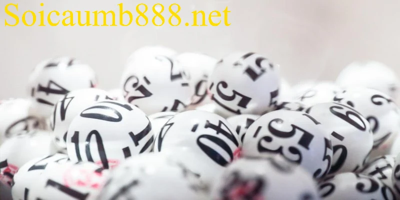Lô Đầu 6 Câm Hôm Sau Đánh Con Gì Giúp Tăng Tỷ Lệ Nổ?