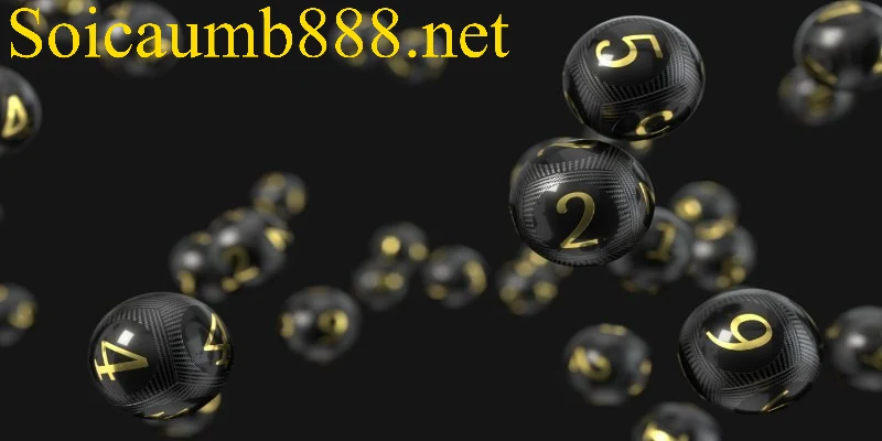 Lô Đầu 7 Câm Hôm Sau Đánh Con Gì Dựa Theo Phân Tích Mới?