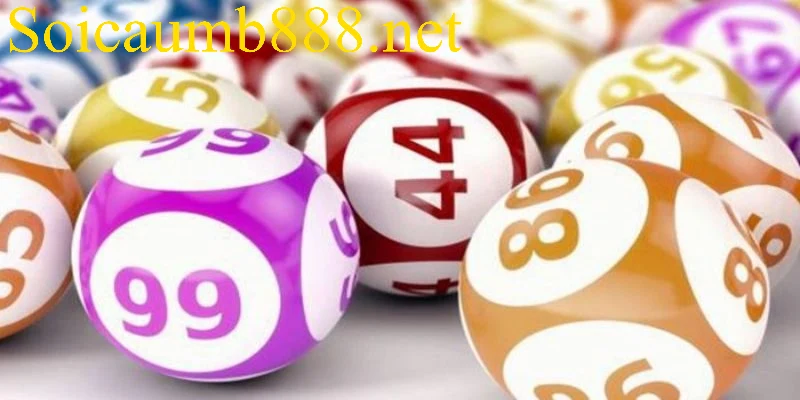 Lô Đầu 9 Câm Hôm Sau Đánh Con Gì Dựa Theo Chu Kỳ Mới?
