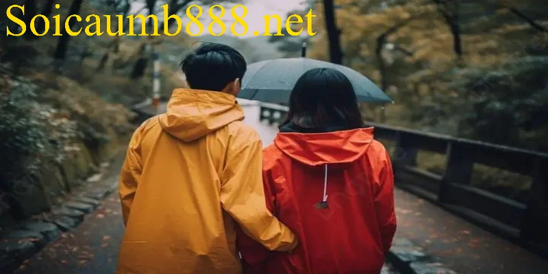 Điềm báo tốt xấu chung khi nằm mơ thấy áo mưa