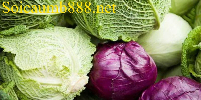 Mơ thấy bắp cải là dấu hiệu của sự phát triển
