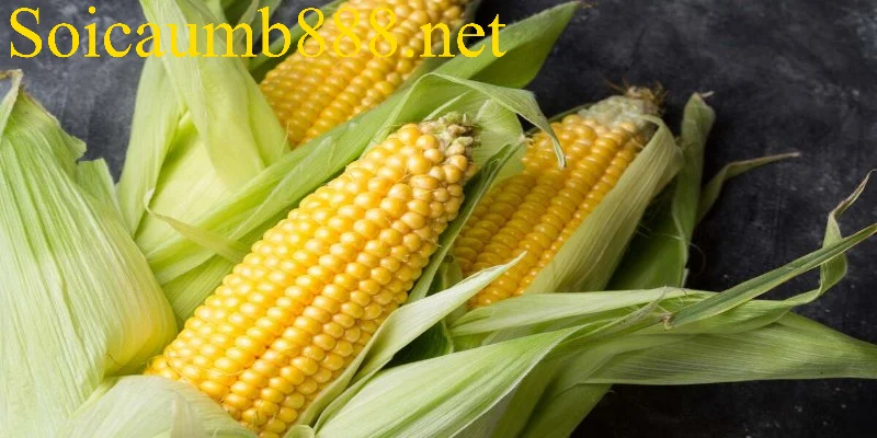 Thông điệp chung của các giấc mơ thấy bắp ngô