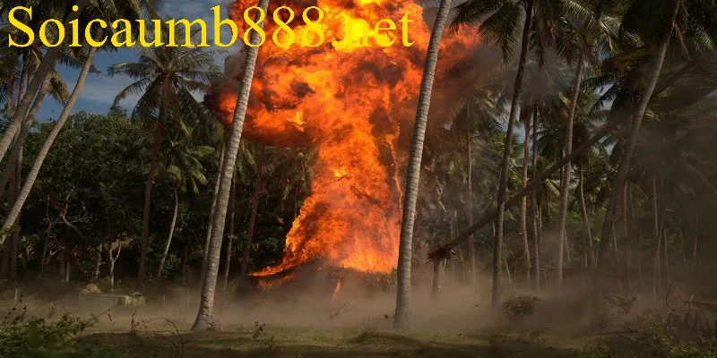 Điềm báo chung khi mơ thấy bom đạn