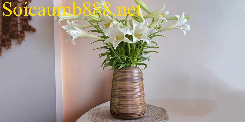 Thông điệp chung của các giấc mơ thấy cái bình