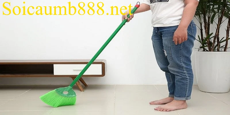 Khám phá các bộ số đẹp khi nằm mơ thấy cái chổi