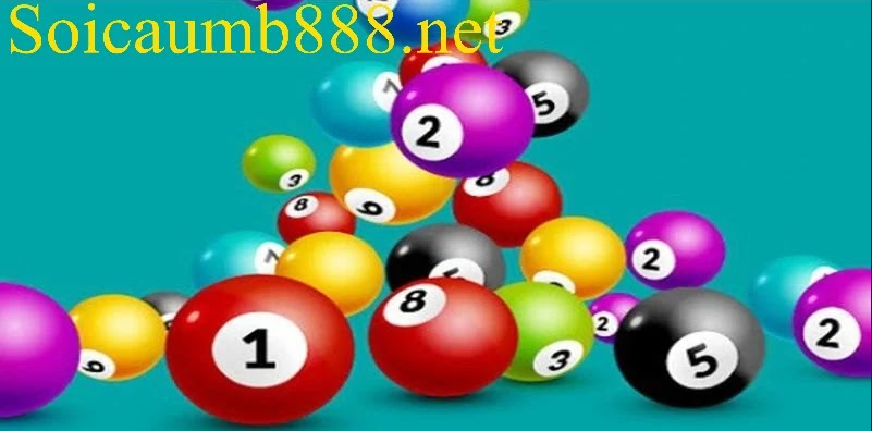 Nuôi Bạch Thủ Lô Kép Khung 5 Ngày Chính Xác Nhất