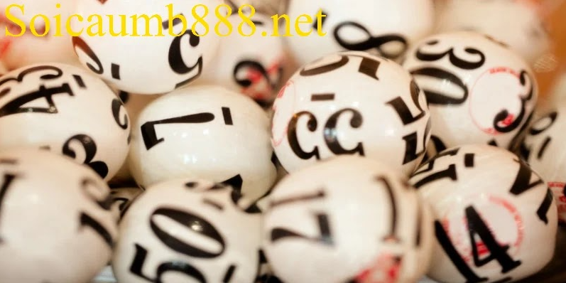 Nuôi Song Thủ Lô Khung 2 Ngày Tỷ Lệ Trúng Cao, Ổn Định Lâu