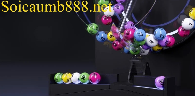 Soi cầu 247 rồng bạch kim ngày 11/02/2026 – Soi Cầu Xổ Số Miền Bắc Chính Xác 100