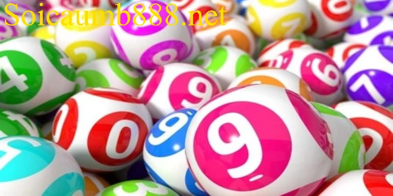 Khám phá về bản chất của vị trí ghép cầu lô