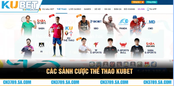 Cá Cược Thể Thao – Trải Nghiệm Đỉnh Cao Tại CN3789