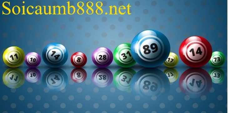 Soi Cầu 247 Ngày 02/03/2026 - Soi Cầu Rồng Bạch Kim Chính Xác 100