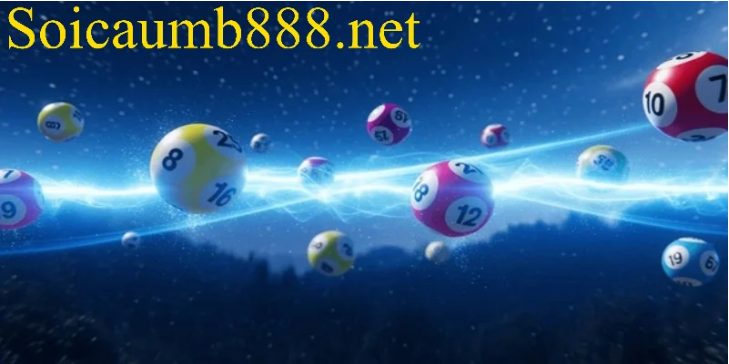 Soi cầu 247 ngày 11/04/2026 - Rồng Bạch Kim Chính Xác 100