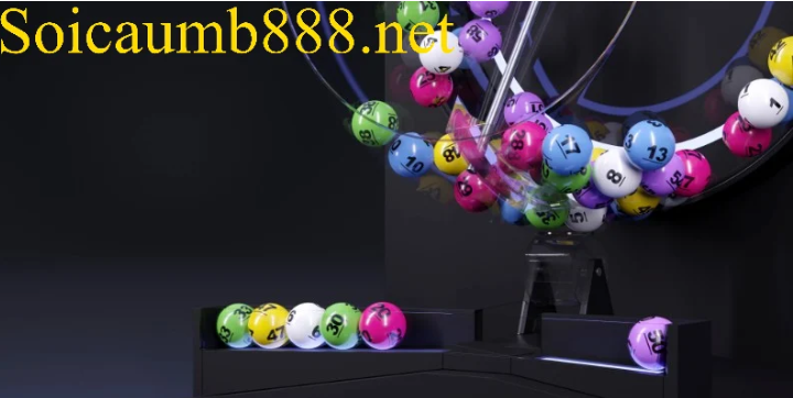 Soi cầu 247 ngày 21/04/2026 - Rồng Bạch Kim Chính Xác 100