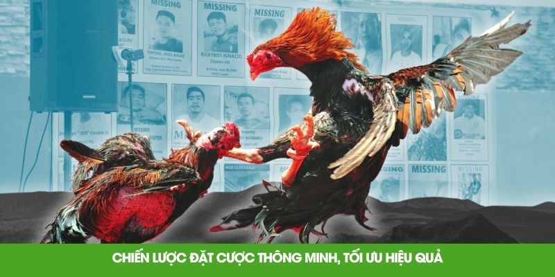 Chiến lược đặt cược thông minh, tối ưu hiệu quả