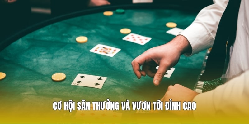 Cơ hội săn thưởng và vươn tới đỉnh cao