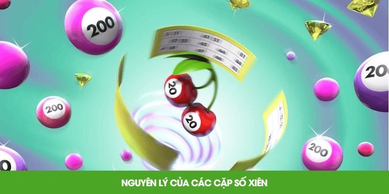 Nguyên lý của các cặp số xiên