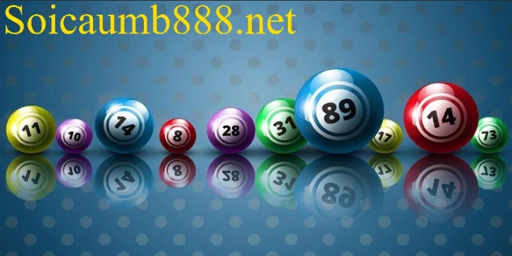 Soi cầu 247 ngày 11/08/2026 - Rồng Bạch Kim Chính Xác 100